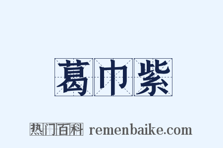 葛巾紫是什么意思的图片